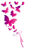 Fototapeta Motyle - butterflies design