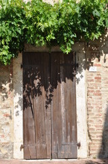 Wall Mural - Wooden rustic door under green climbers