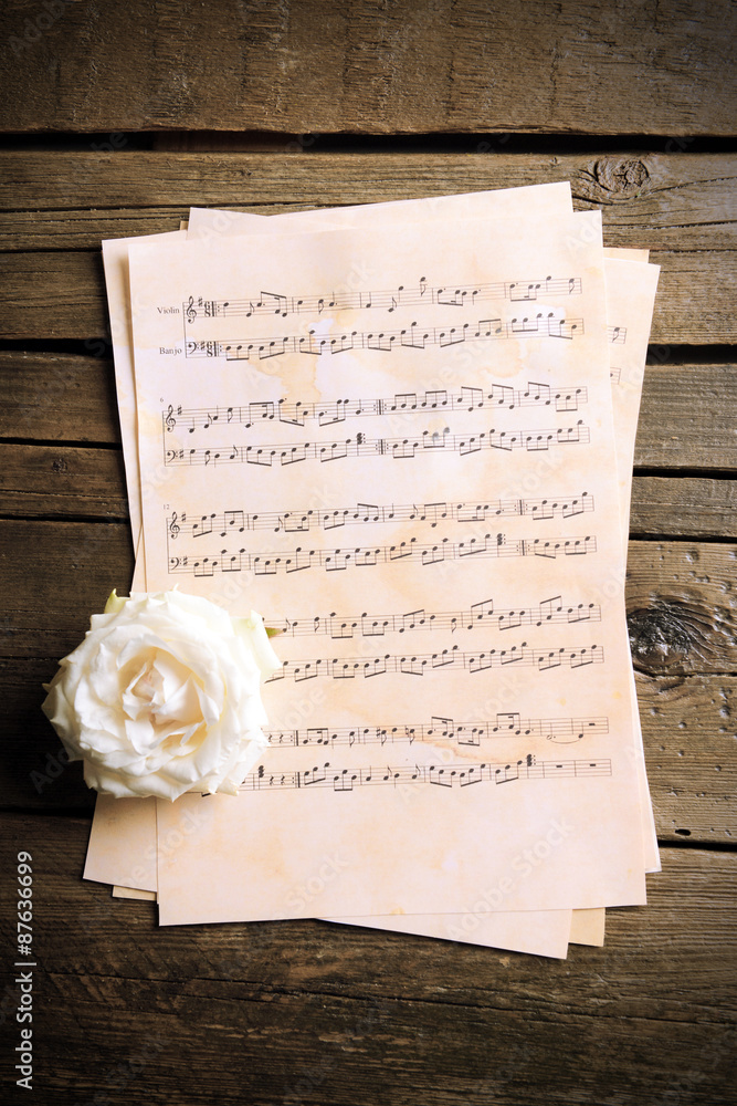 Beautiful rose on music sheets on wooden background