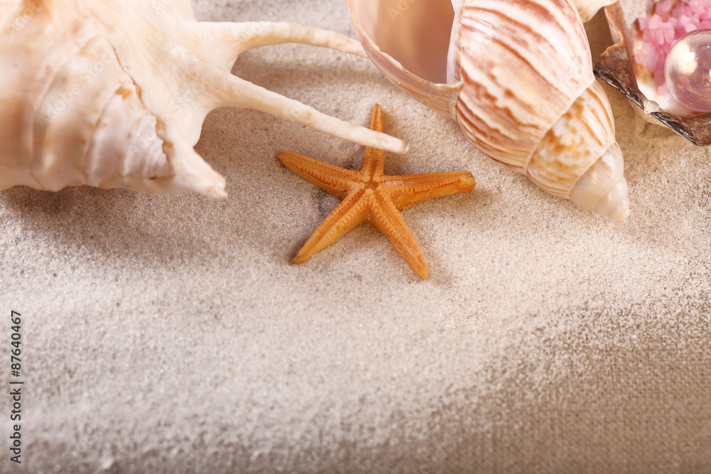 Collection of seashells with sand on sackcloth, closeup