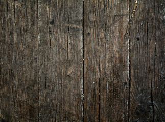 Wall Mural - wood old panels