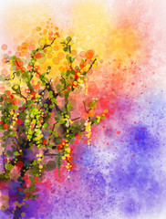 Abstract flowers watercolor painting. Spring nature season with yellow flowers Wisteria tree on grunge yellow and blue watercolor background