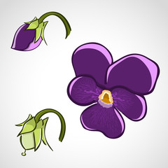 Sticker - Sketch style flower set - pansy