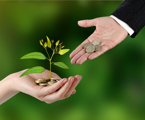 Investing to green business