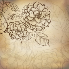 Sticker - Sketch  rose background