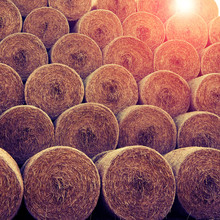 Hay And Straw Bales In The End Of Summer