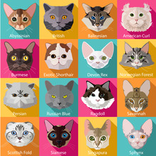 Set Of Flat Popular Breeds Of Cats Icons. 