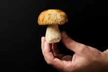 Cep In The Hand