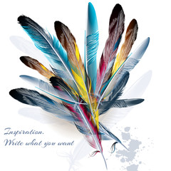 Poster - Background with feathers symbol of inspiration and writing