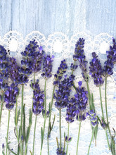 Lavender Flowers On The Lace Background, Vintage Arrangement