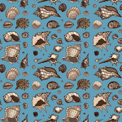 Poster - Seamless pattern of Sea shells. 