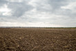 Plowed field landscape