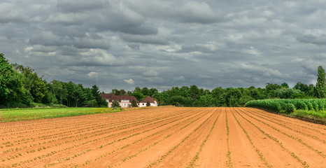 Wall Mural - frisch gesätes land mit bewölkten Himmel und Bauernhof