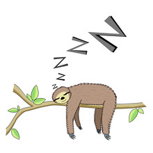 Cartoon Sleeping Sloth