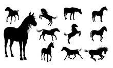 Silhouette Horses