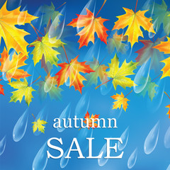 Canvas Print - Autumn sale