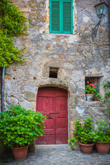 Wall Mural - Tuscan door with plants in the Italian medieval village