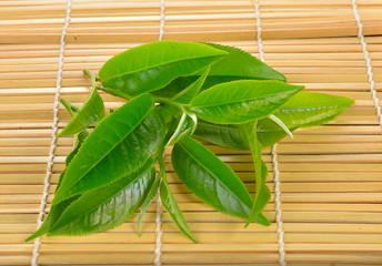 Wall Mural - Fresh green tea leaf on bamboo  background