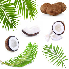 Wall Mural - Coconut collage