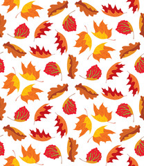 Wall Mural - Autumn leaves background