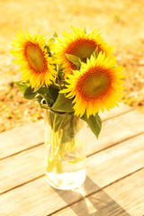 Wall Mural - Beautiful sunflowers in vase on wooden table outdoors