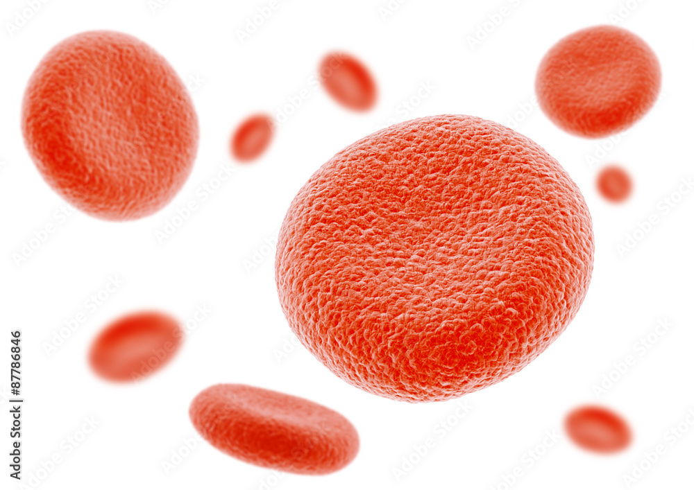 Blood Cell erythrocyte 3d erythrocyte objects isolated on white ...