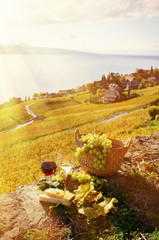 Wine, grapes and cheese. Lavaux, Switzerland