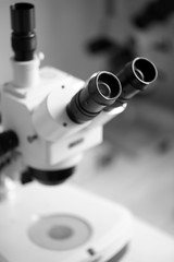 Wall Mural - microscope in laboratory close up
