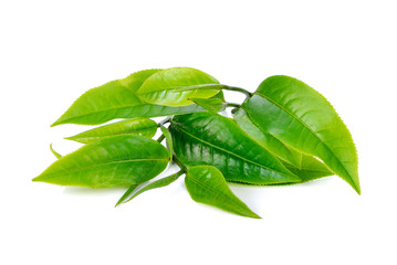 Poster - tea leaf isolated on white background