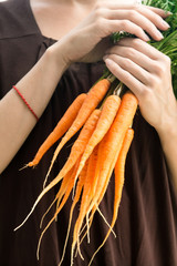 Wall Mural - Carrots