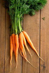 Wall Mural - Carrots