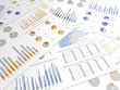 © miw45kg - business chart