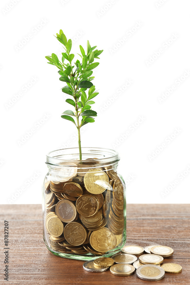 Money with growing sprout in glass jar on table isolated on white