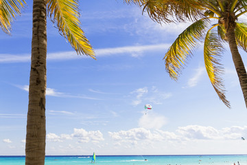 Wall Mural - Caribbean beach.