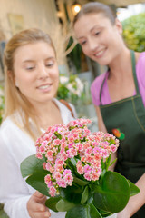 Wall Mural - Florist holding a flower arrangement