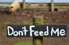 Do Not Feed Me Sign On Pig Pen