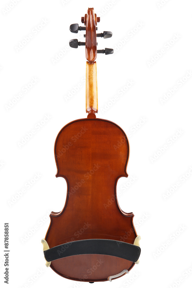Classical violin isolated on white