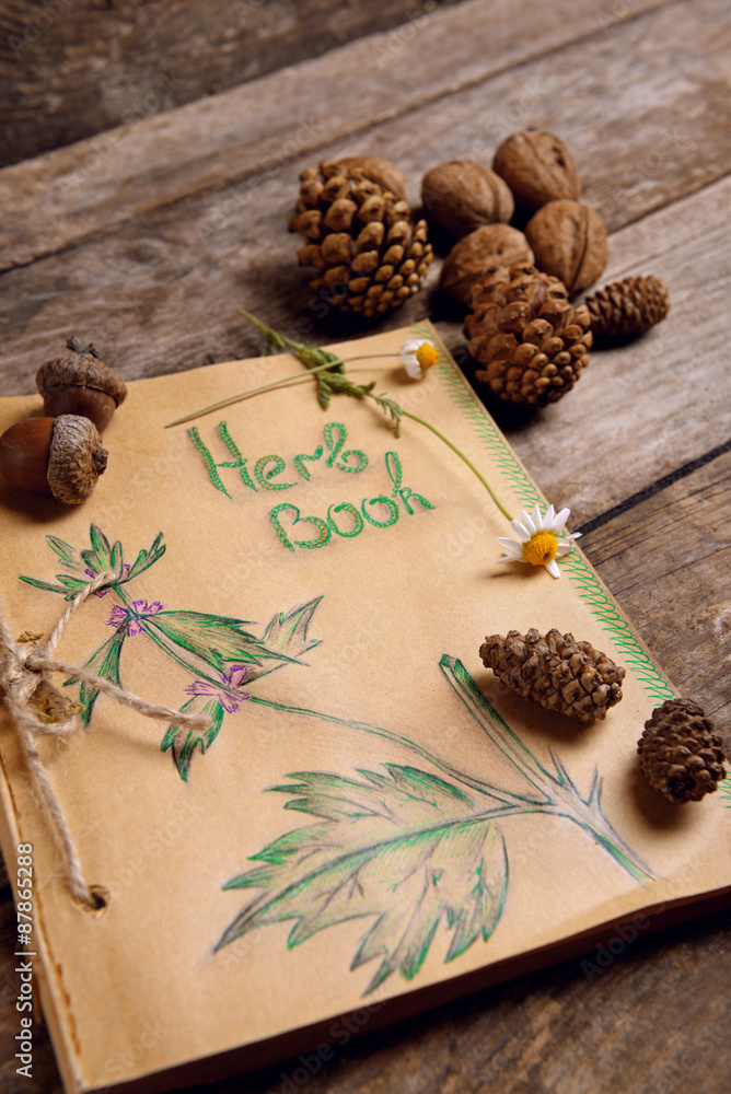 Old book with cones and nuts on table close up