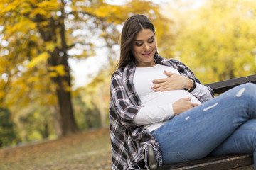 Poster - Young pregnant woman sitting in the autumn park