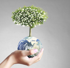 Globe ,earth in human hand, hand holding our planet earth glowin