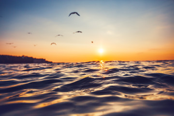 Wall Mural - sunrise and shining waves in ocean