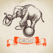 Hand drawn sketch circus and amusement vector illustration