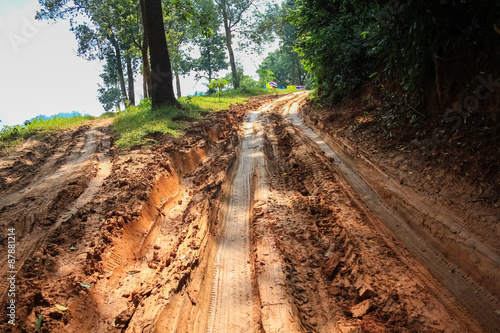 Fotografia  Off-road track in country
