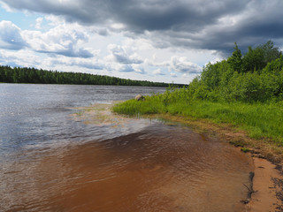 Canvas Print - river in summer