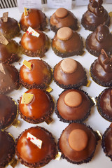 Chocolate truffles/Chocolate balls decorated with sprinkles at the bottom.Delicious candy.Very shallow depth of field for soft background.