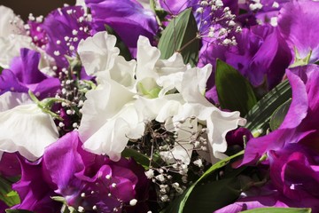 Bouquet of sweet peas in different colors