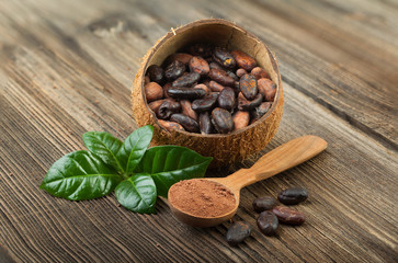 Wall Mural - Cocoa powder and cocoa beans