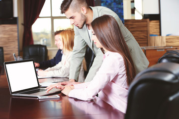 Wall Mural - Businesswoman and business people working at notebook in conference room