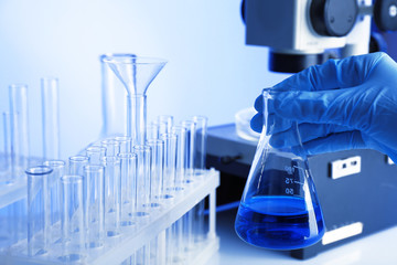 Wall Mural - test tube in scientist hand in laboratory