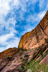 Wall Mural - Zion_cliffSide